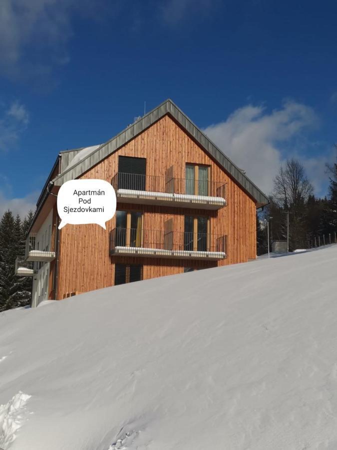 Apartman Pod Sjezdovkami โดลนี โมราวา ภายนอก รูปภาพ